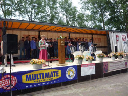 Afbeelding invoegen